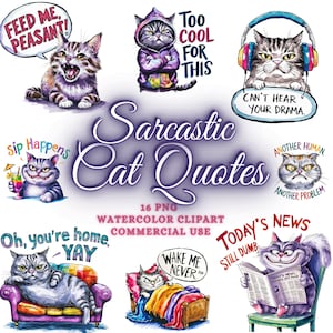 Pacote de citações sarcásticas de gato engraçado, pacote de clipart de gato, clipart de gato engraçado, gato engraçado png, sublimação de gato sarcástico png, pacote de citações engraçadas
