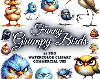 Paquete de 52 imágenes prediseñadas de pájaros gruñones y divertidos, paquete de PNG de pájaros lindos y divertidos, imágenes prediseñadas de pájaros en acuarela en formato PNG, PNG de sublimación de pájaros divertidos, PNG de animales divertidos