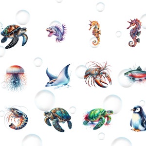 May include: A colorful illustration of various sea creatures, including a sea turtle, a seahorse, a jellyfish, a stingray, a lobster, a fish, a shrimp, and a penguin. The illustration is set against a white background with white bubbles.