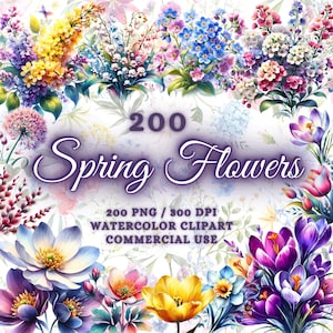 200 Pacote De Clipart De Flores De Primavera Em Aquarela, Pacote De Flores Silvestres De Primavera Png, Buquê De Flores Png, Clipart De Flores Silvestres, Jardim Aquarela Png