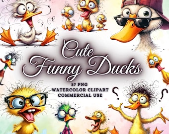 37 Cute Funny Duck Clipart Bundle, Funny Cute Bird Png Bundle, Watercolor Birds Clipart Png, Funny Birds Sublimation Png, Funny Animals Png