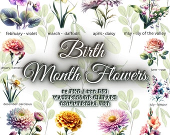 54 Watercolor Birth Month Flower Clipart Bundle, Birth Flower PNG Bundle, Birth Month Clipart, Birth Flower Clipart, Birth Flower Bouquet