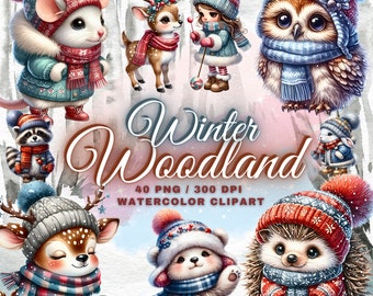 Aquarell Wald Tiere Clipart, Winter Clipart Bundle, Aquarell Wald Tiere Clipart, Kinderzimmer Wald Clipart, gemütliche Winter Clipart