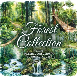 71 Paquete de imágenes prediseñadas de bosque de acuarela, paquete de png de bosque, gráficos de bosque, imágenes prediseñadas de bosque de acuarela, fondos de bosque de imágenes prediseñadas de bosques