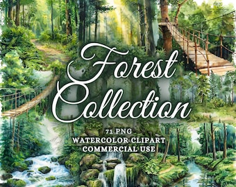 Paquete de 71 imágenes prediseñadas de bosques en acuarela, paquete de imágenes PNG de bosques, gráficos de bosques, imágenes prediseñadas de bosques en acuarela, fondos de bosques en imágenes prediseñadas