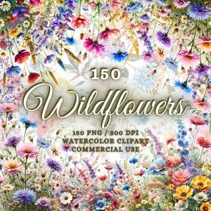 150 Pacote De Flores Silvestres Em Aquarela, Clipart De Flores Silvestres Png, Clipart Floral Pacote De Flores Silvestres Png Prado Flores Clipart