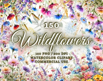 150 Watercolor Wildflowers Clipart Bundle, Wild Flower Clipart Png, Floral Clipart Wildflowers Bundle Wildflowers Png Meadow Flowers Clipart
