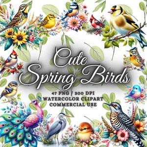 47 lindo paquete de imágenes prediseñadas de pájaros de primavera, paquete de png de pájaros lindos, imágenes prediseñadas de pájaros de acuarela png, png de sublimación de pájaros de primavera, imágenes prediseñadas de pájaros florales