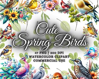 47 Cute Spring Bird Clipart Bundle, Cute Bird Png Bundle, Watercolor Birds Clipart Png, Spring Birds Sublimation Png, Floral Bird Clipart
