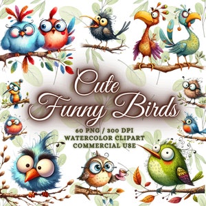60 niedlicher lustiger Vogel Clipart-Bundle, lustiger süßer Vogel Png-Bundle, Aquarell Vögel Clipart Png, lustige Vögel Sublimation Png, lustige Tiere Png