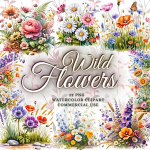 22 PNG clipart de canteiro de flores silvestres, flores silvestres, clipart de aquarela para impressão, PNGs transparentes, download digital, artesanato em papel, diário
