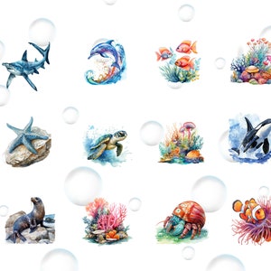 May include: Watercolor illustrations of various sea creatures and coral reefs.  The illustrations include a shark, dolphin, starfish, sea turtle, orca, seal, hermit crab, and clownfish.