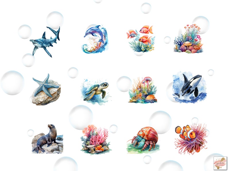 May include: Watercolor illustrations of various sea creatures and coral reefs.  The illustrations include a shark, dolphin, starfish, sea turtle, orca, seal, hermit crab, and clownfish.