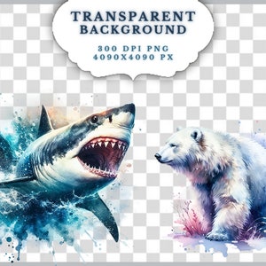 May include: A watercolor painting of a great white shark with its mouth open, surrounded by blue and white water splatter. A polar bear is standing on the right side of the image, surrounded by purple and pink watercolor splatter.