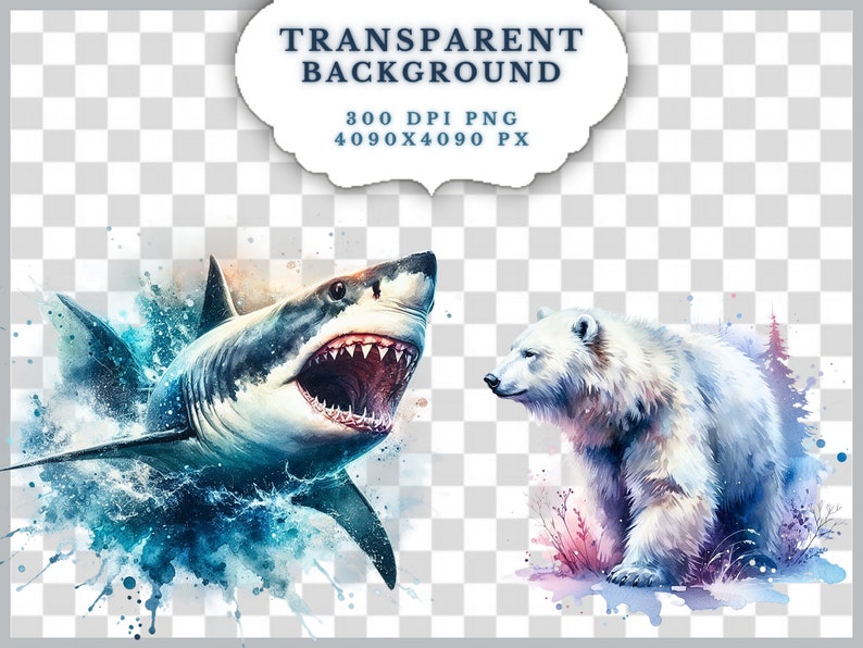May include: A watercolor painting of a great white shark with its mouth open, surrounded by blue and white water splatter. A polar bear is standing on the right side of the image, surrounded by purple and pink watercolor splatter.