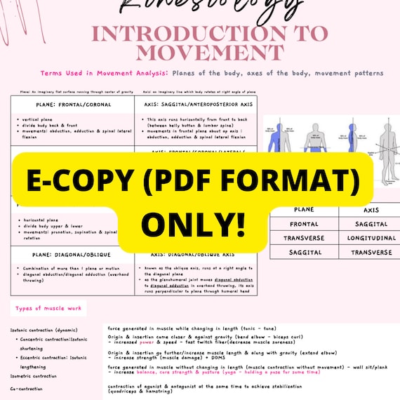 Introduction to Kinesiology A+ Study Notes + EXTRA 20 PRACTICE