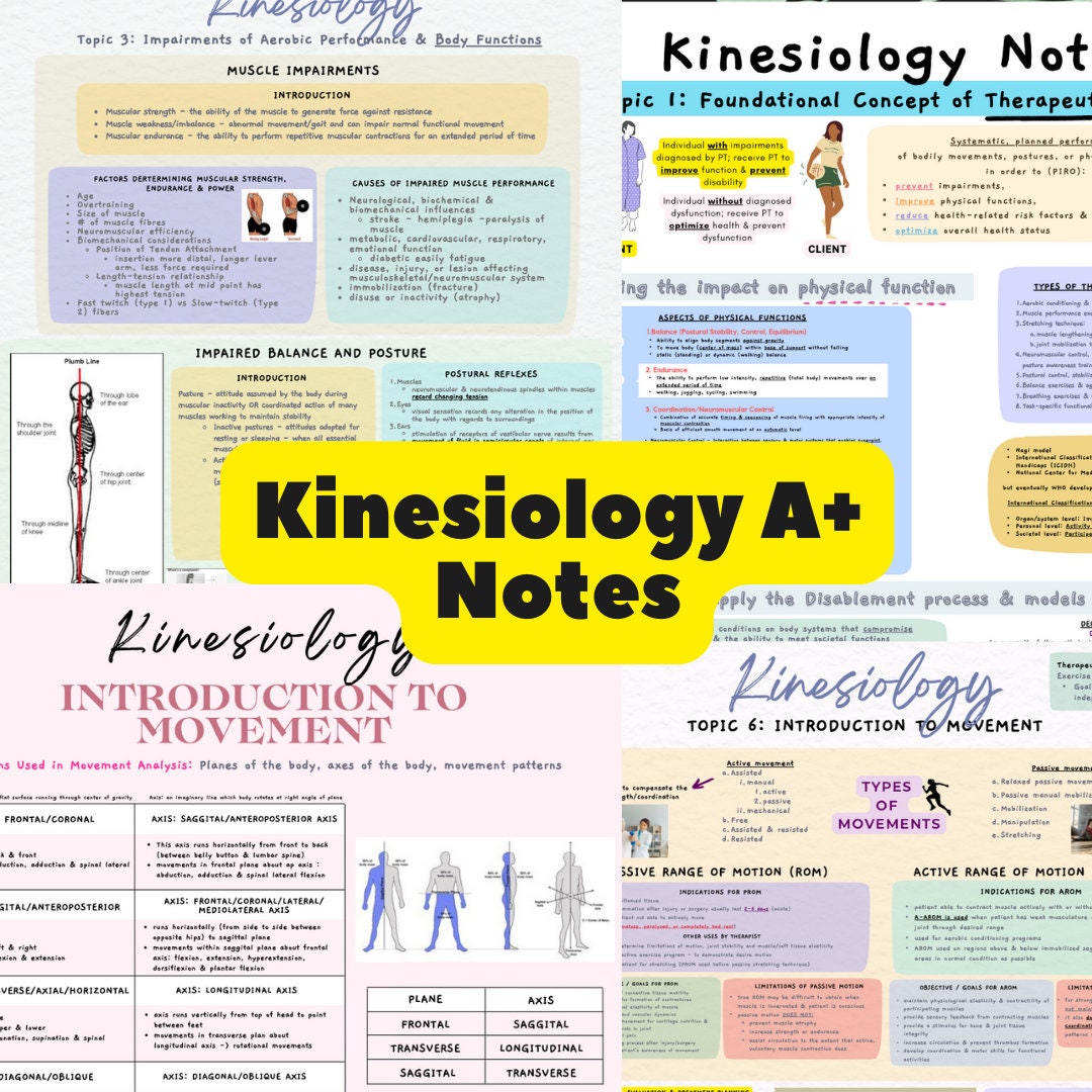Introduction to Kinesiology A Notes Etsy