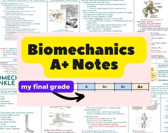 Biomechanics A+ Study Notes - Joints/Gait/Posture