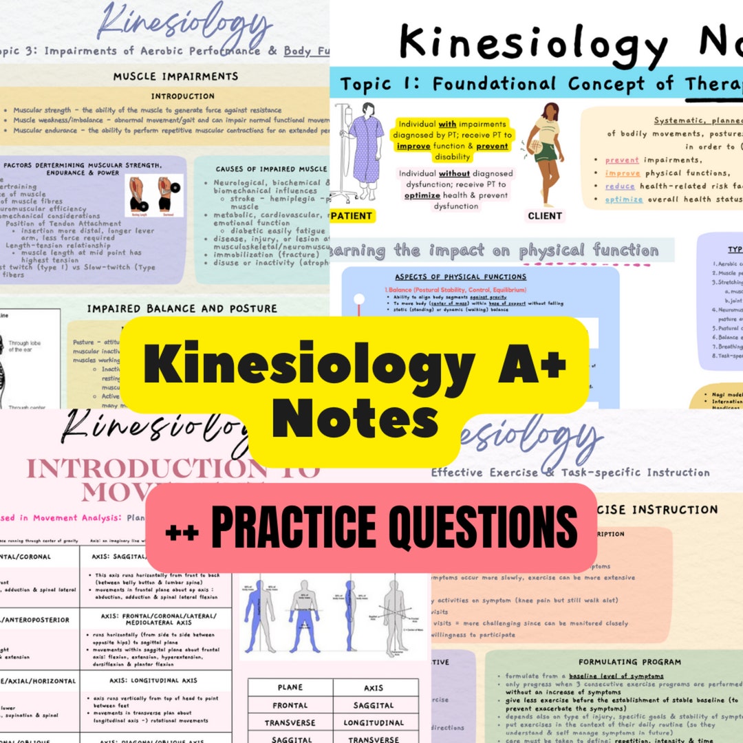 Introduction To Kinesiology A Study Notes EXTRA 20 PRACTICE QUESTIONS introduction-to-kinesiology-a-study-notes-extra-20-practice-questions
