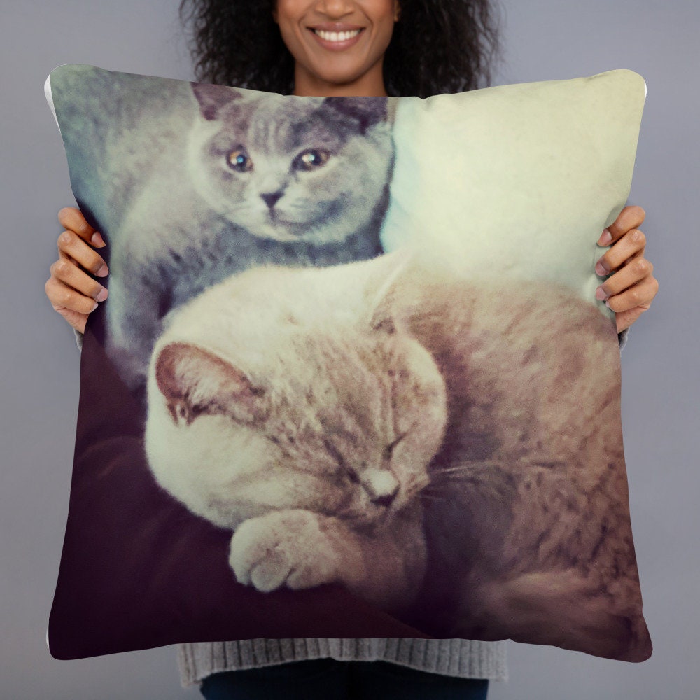 Coussin Classique Chatons