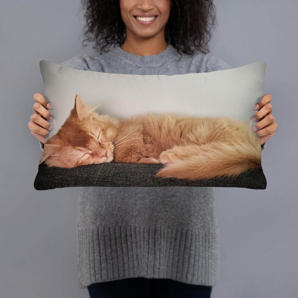 Coussin Rectangulaire Chaton Munchkin