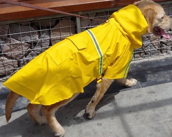 Imperméable pour grand chien, manteau de pluie pour chiot, imperméable pour grand chien, costume de chien de compagnie, récupération de chirurgie pour chien, jour de pluie pour chien de compagnie, vêtements pour temps humide pour chien