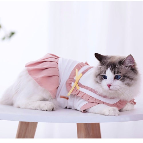 Cute Cat Clothes Small Skirt Pet Clothing Summer Spring Cat Etsy