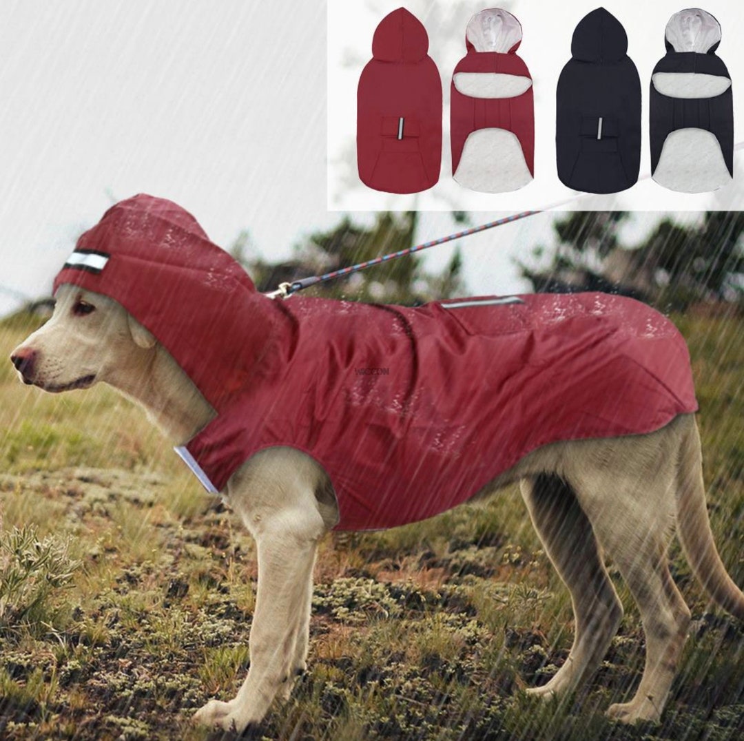 Dog Supplies Golden Retriever Raincoat Outdoor Large Dog Raincoat