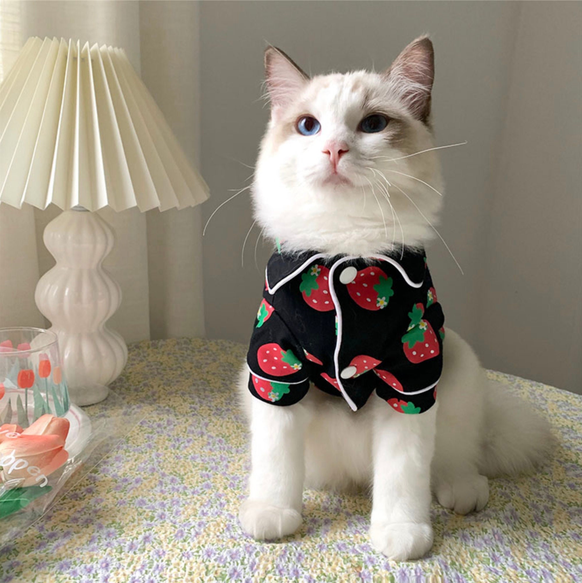 Autumn Winter Warm Cute Dog Cloth Pet Clothes Clothing Cats Clothes Online  Pakistan Kawaii Pet Clothes Cats - Buy Pet Clothes Cats,Cats Clothes Online