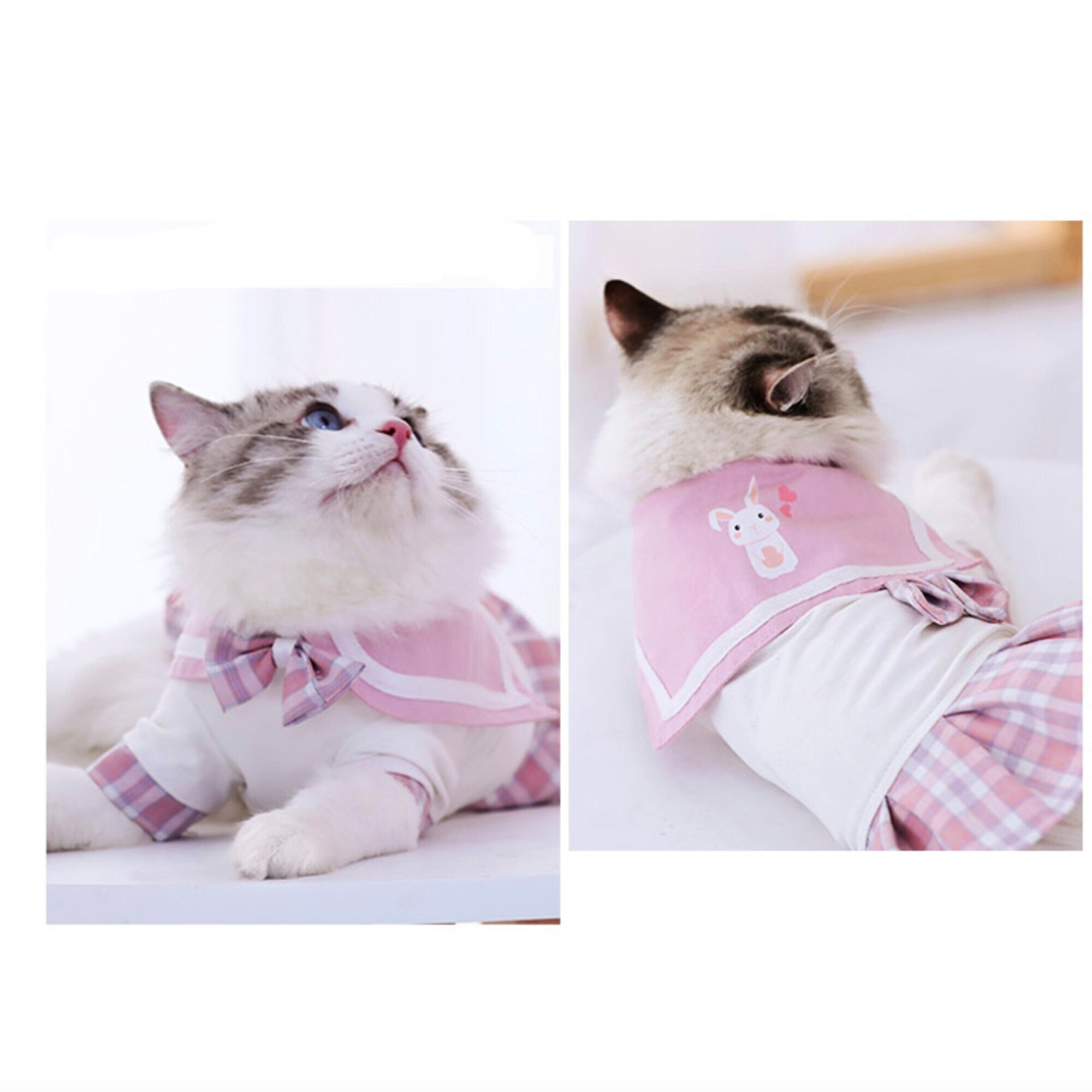Cute Cat Clothes Small Skirt Pet Clothing Summer Spring Cat Dress