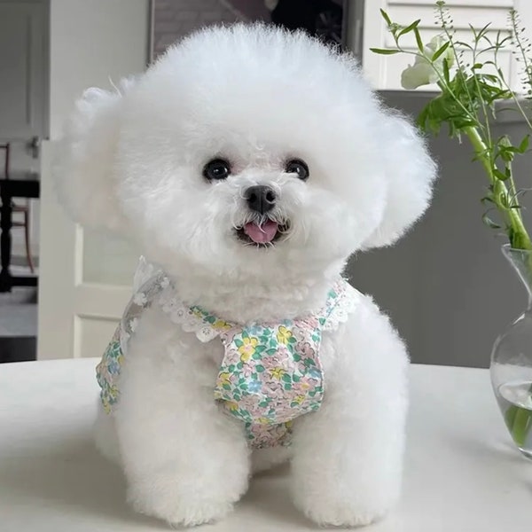 Dog Tutu Skirt | Cat Puppy Summer Dresses  | Pet Clothing for Dog Dress | Chihuahua Yorkie Pomeranian Maltese Poodle Bichon Costume