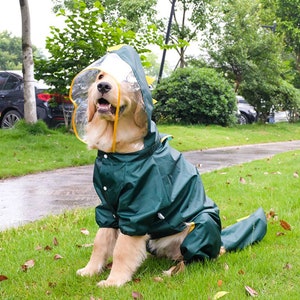 Großer Hund Regenmantel, Große Hunde Regenjacke, Große Hunde Regenkleidung, Rottweiler Kleidung, Labrador, Deutscher Schäferhund, Golden Retriever,Husky Welpe Bild 5