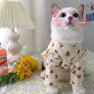 Heart print Cat Clothes | Pet Clothes | Dog Clothes | Winter Jackets Suit | Warm Fleece Vest Velet Small Cat Motorcycle Waistcoat Clothes