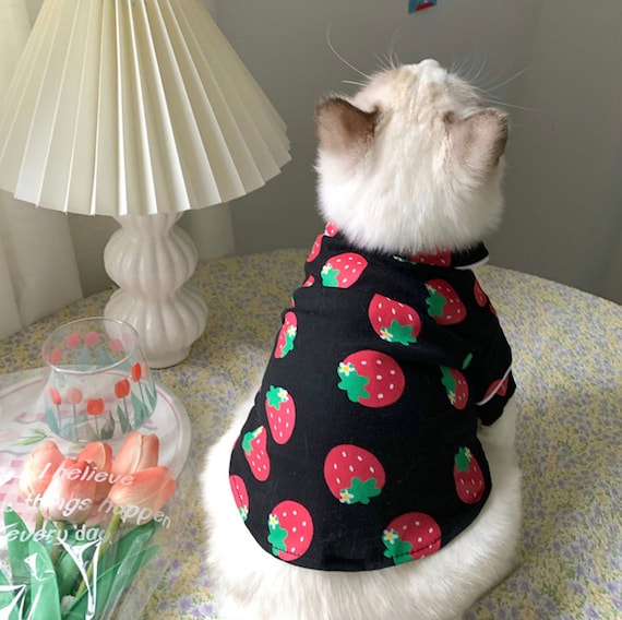 Autumn Winter Warm Cute Dog Cloth Pet Clothes Clothing Cats Clothes Online  Pakistan Kawaii Pet Clothes Cats - Buy Pet Clothes Cats,Cats Clothes Online