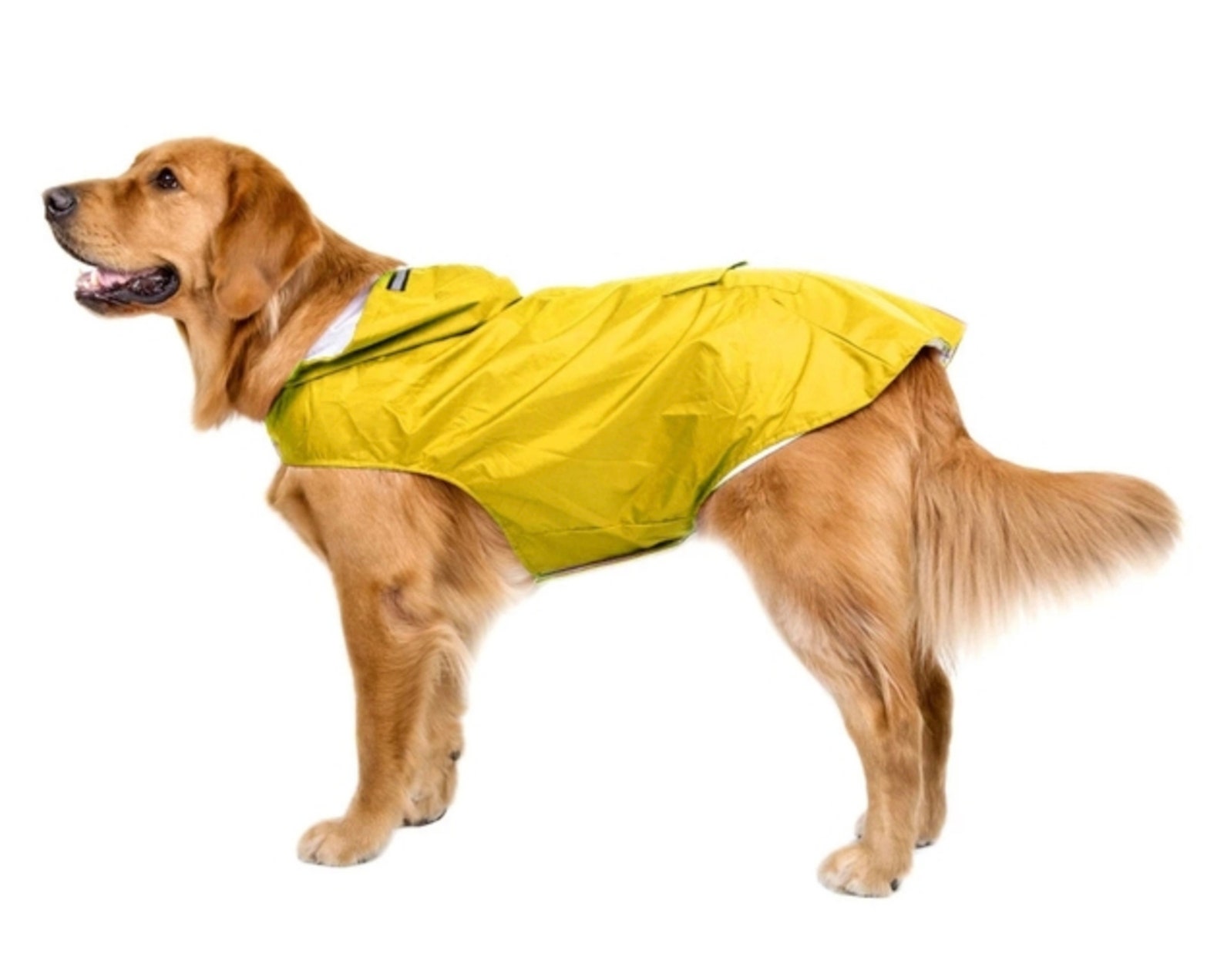 Dog Raincoat Reflective Dogs Rain Coat for Small Large Dogs Etsy Canada