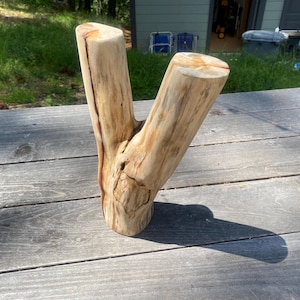 Tronco di legno di manzanita completamente naturale, levigato a mano per acquari, vasche o gabbie per animali domestici