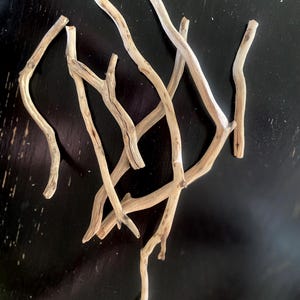 Set di 3-10 rami di legno di manzanita completamente naturali, levigati a mano per acquario per animali domestici, vasca o gabbia per uccelli,