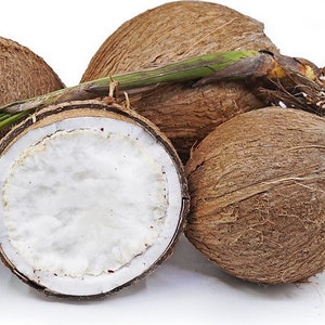 Sprouted Coconut Fruit 2 per order! (Free shipping)