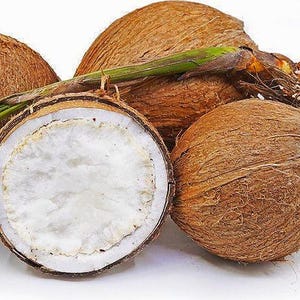 May include: Four brown coconuts, one of which is cut in half, revealing the white coconut flesh. A green coconut frond is attached to the coconuts.