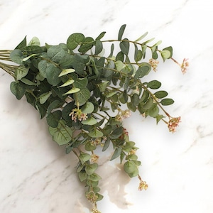 Eucalyptus Leaves Spray Artificial Greenery Stems Fake Silver Dollar Eucalyptus Branches 24&quot;