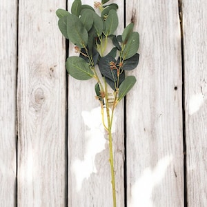 Faux Seeded Eucalyptus Stem | Artificial Plant | DIY | Greenery | Floral | Home decor | Wedding/Home Decoration | Gifts - Green