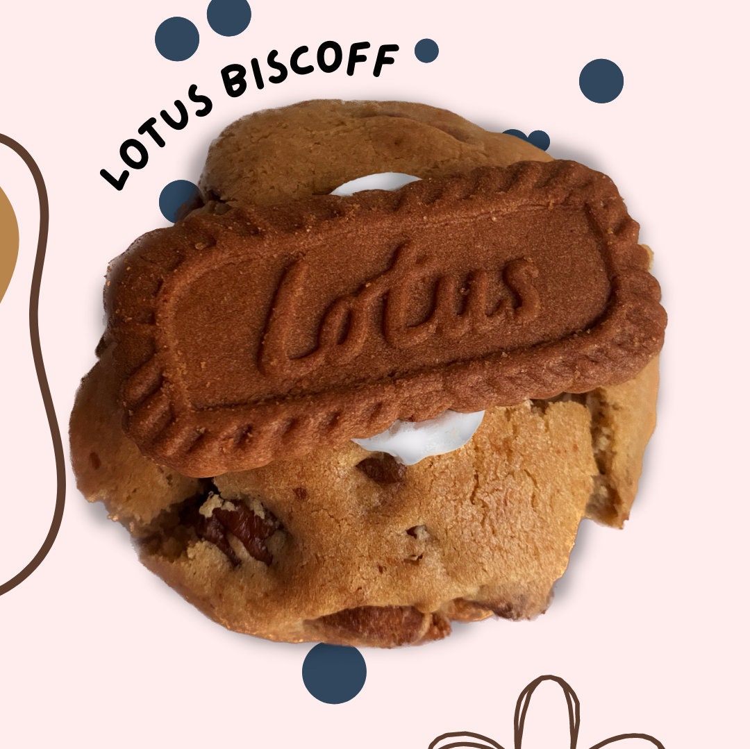  Lotus Cookies, Biscoff Speculoos With Chocolate 7 Pieces, Lotus Biscuits, Belgian Cookies