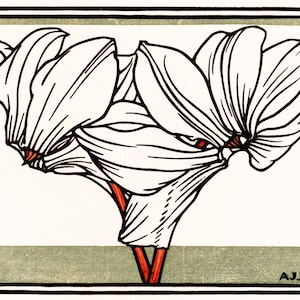 82 illustrations uniques de Julie De Graag à télécharger
