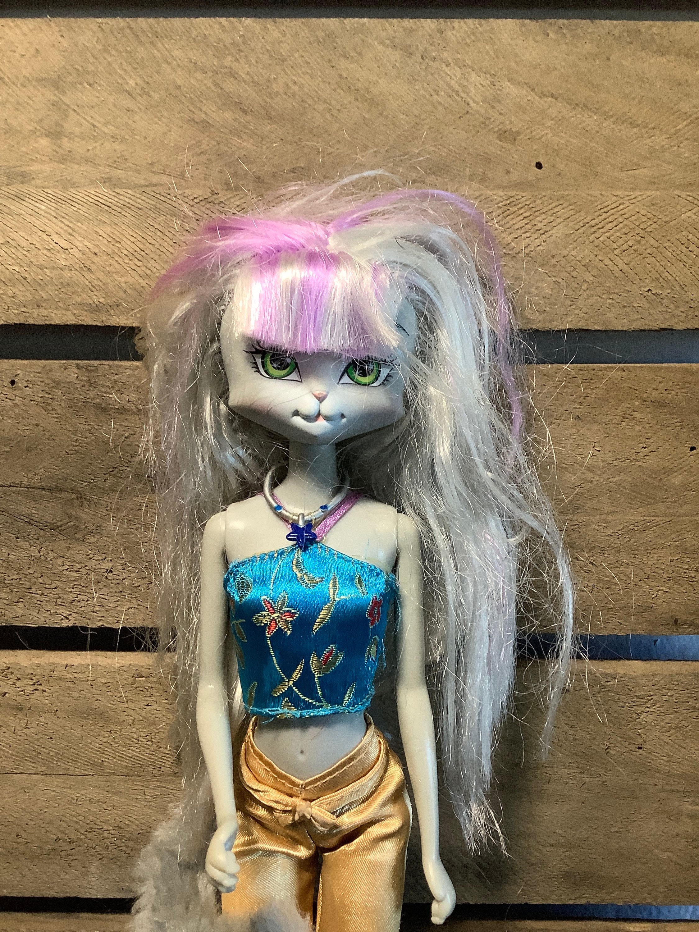 Rare Lanyard Catwalk Kitties Anika Doll Etsy UK