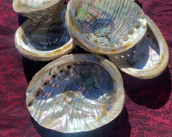 Concha de abulón - Quemador de incienso de concha marina - Cuenco para difuminar para sostener palitos de difuminado, incienso, pantalla de cristal - 4-5"