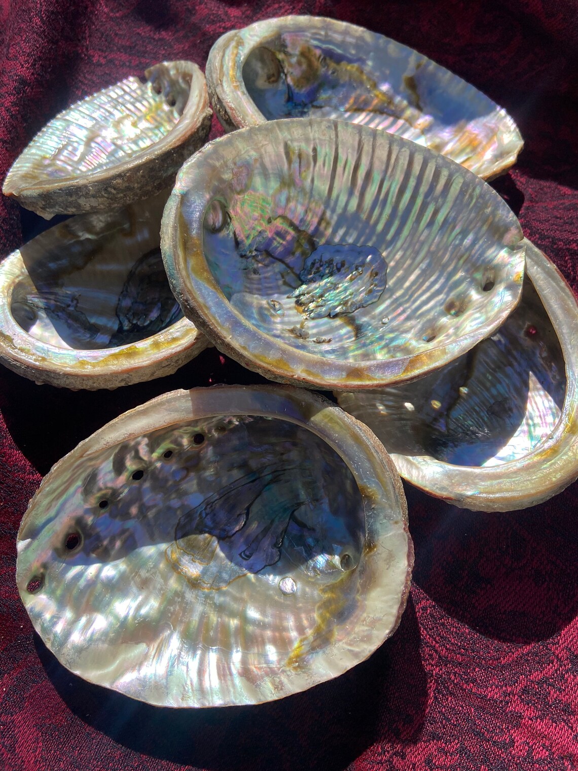 Abalone Shell - Seashell Incense Burner - Smudge Bowl for Holding ...
