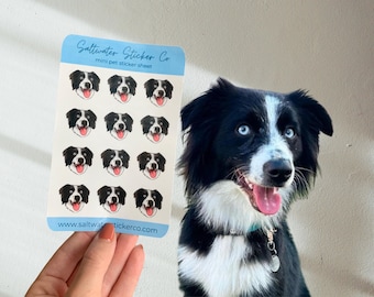 Custom Pet Cartoon Mini Sticker Sheets - Custom Dog Cat Illustration, Pet Portrait Art, Mini Pet Stickers, Sticker Sheet, Pet Digital Art