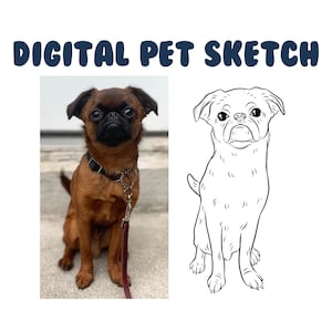 Digital Pet Outline (SIMPLE) - Dog Cat Vector Line Out Drawing, Pet Sketch, Pet Drawing, Wedding Pet Art, Pet Memorial, Simple Pet Sketch
