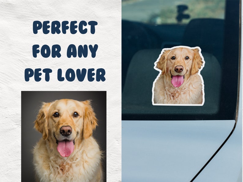 May include: A golden retriever dog with its tongue sticking out, looking directly at the camera. The dog is in a close-up shot and has a light brown coat.