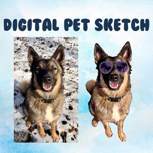 Custom Pet Portrait for Summer - Turn Your Favorite Dog or Cat Photo into a Cute Digital Drawing, Aviators, Dog Mom Gift, Pet Portrait Art